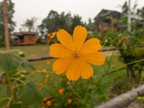 Ferienhaus Bansuan Viewpai *
